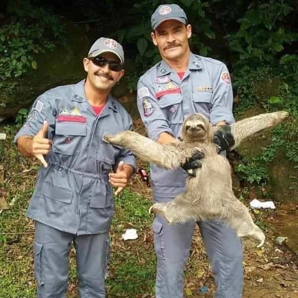 ST10. 30 Weird images you could only find on the internet s2