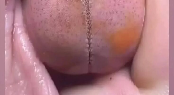Please Don’t Look At These 24 Pictures If You Have A D*rty Mind