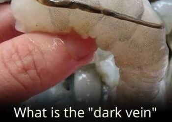 What exactly is the shrimp vein?.