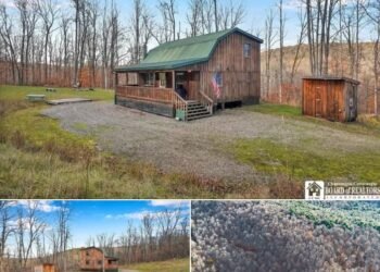 Hunting Cabin on 21.3 Private Acres in Bolivar, New York
