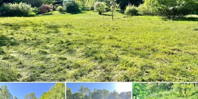 Secluded 31-Acre Retreat with Mobile Home in Wallback, West Virginia