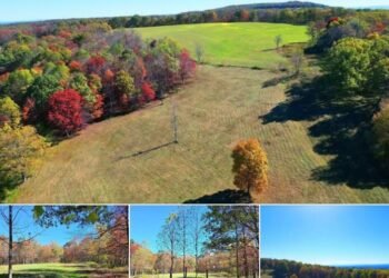 Private 185.3-Acre Mountain Tract Ideal for Hunting, Building & Recreation