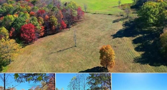 Private 185.3-Acre Mountain Tract Ideal for Hunting, Building & Recreation