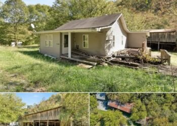 50.5 Acres of Potential in Blackwater