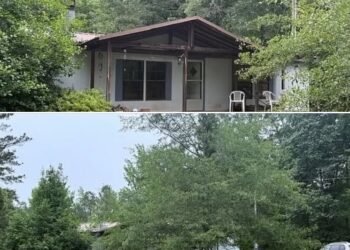 Secluded 3-Bedroom Home on 41 Acres in Warthen, Georgia