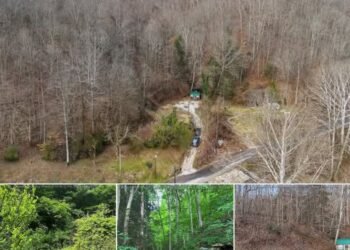 27 Acres of Beautiful West Virginia Land for Sale in Elkview