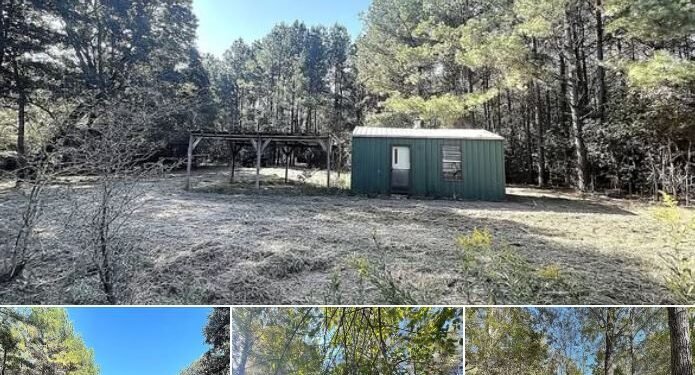 Nature Lover’s 65.36-Acre Retreat — Avery, TX