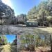 Nature Lover’s 65.36-Acre Retreat — Avery, TX