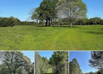 Concord, GA – 141 Acres Available