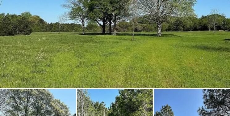 Concord, GA – 141 Acres Available