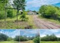 Spencer, WV: 2-Bedroom Cabin on 45 Acres with Free Gas
