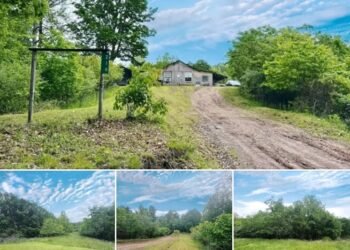 Spencer, WV: 2-Bedroom Cabin on 45 Acres with Free Gas