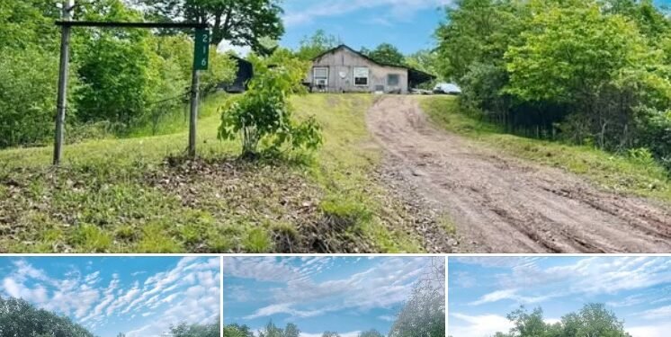 Spencer, WV: 2-Bedroom Cabin on 45 Acres with Free Gas
