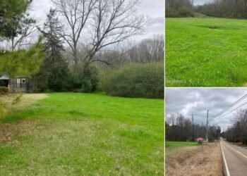 Large Mississippi Land Tract — 52 Acres in Union