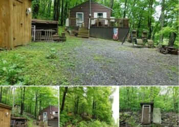 Remote 2-Bedroom Mountain Cabin on 10.4 Acres in Orbisonia, Pennsylvania