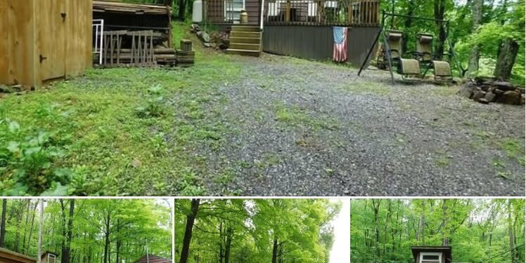 Remote 2-Bedroom Mountain Cabin on 10.4 Acres in Orbisonia, Pennsylvania