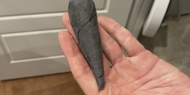 This Shouldn’t Have Been There: The Mystery of the Hollow Knight Plush Nail