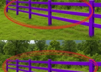 If You Spot a Painted Purple Fence, This Is What It Means