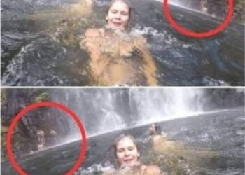 I didn’t see it at first either, if you don’t get it …