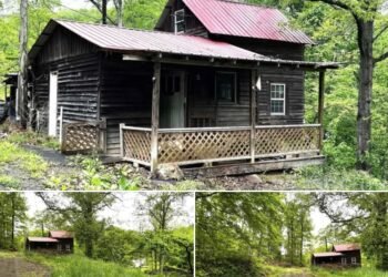 1-Bedroom Cabin on 1 Acre in Greenup, Kentucky