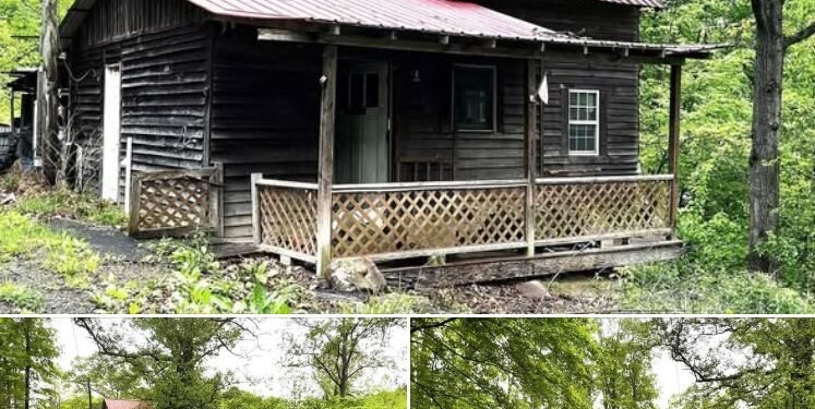 1-Bedroom Cabin on 1 Acre in Greenup, Kentucky
