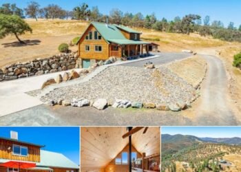 Peaceful Country Living — 21.51 Acres with Log Home