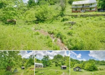 120 Acres of Scenic Land in Lebanon, Virginia