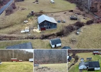 288 Acres of Mixed Terrain in Jacksonburg, West Virginia