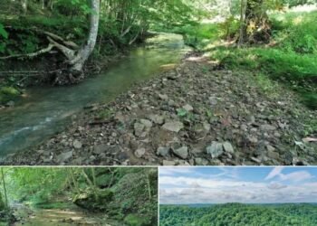 36-Acre Cabin Retreat – Auction in Hot Springs, VA