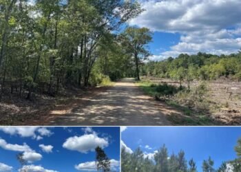 Secluded 102.6 Acres in Chidester, Arkansas
