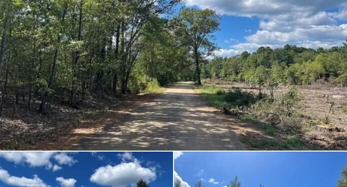 Secluded 102.6 Acres in Chidester, Arkansas