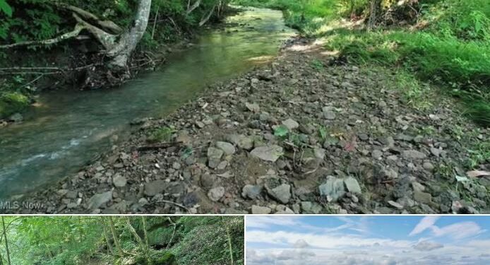 36-Acre Cabin Retreat – Auction in Hot Springs, VA