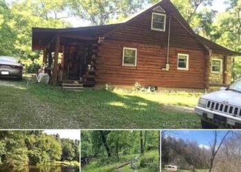 3-Bedroom Cabin on 65 Acres in Lesage, West Virginia