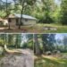 A Rare 109-Acre Opportunity Near the Suwannee River in Beautiful Old Town, FL
