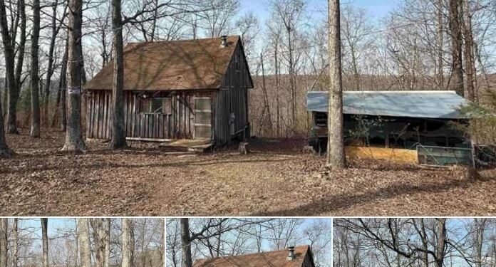 Secluded 19.48-Acre Property with 1-Bedroom Cabin in Leslie, AR