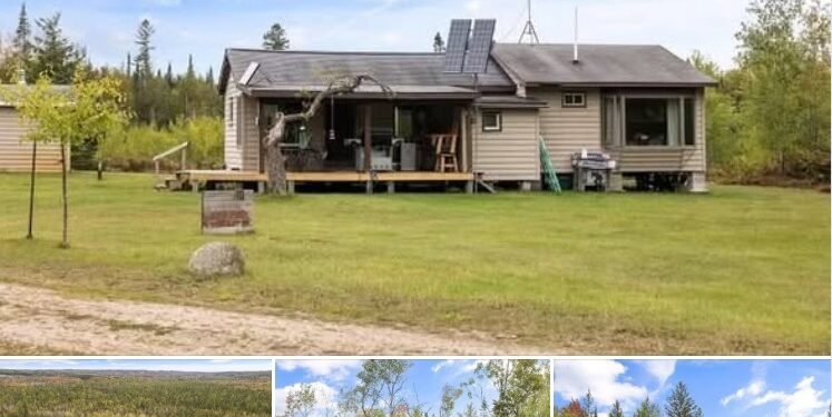 190 Acres with Solar Cabin Available in Gaylord, Michigan