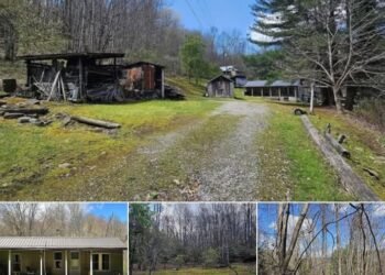 Spacious 55-Acre Property with a 2-Bedroom Home in Scenic Coeburn, VA