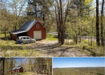 Secluded 1-Bedroom Cabin on 62 Acres in Harrisville