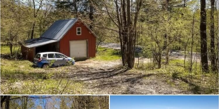 Secluded 1-Bedroom Cabin on 62 Acres in Harrisville