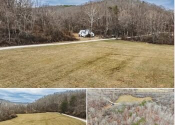 67.75 Acres of Land with Hunting Potential in Walker, West Virginia