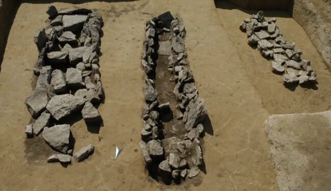 Late Bronze Age Life in Central Europe Reconstructed Using Ancient DNA