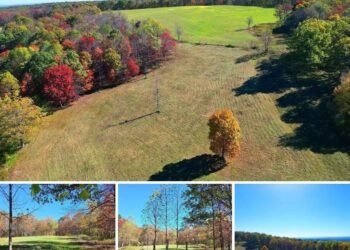 Rare West Virginia Land Auction – 185.3 Acres of Pasture, Timber & Mountain Views