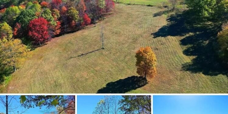 Rare West Virginia Land Auction – 185.3 Acres of Pasture, Timber & Mountain Views