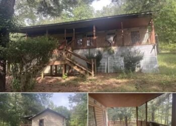 Spacious 22-Acre Property with Home in Blocton, Alabama