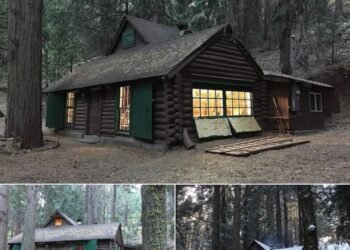 Warm & Inviting Log Cabin in Wofford Heights, CA