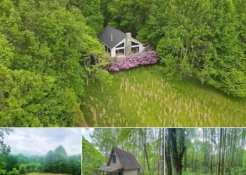 52-Acre Mountain Estate with Guest Cabin in Ceres, Virginia