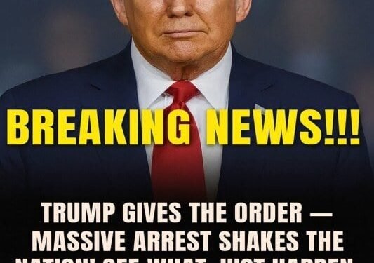 Driver Sentenced After Striking Federal Agent at Border Checkpoint