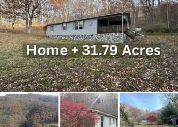 Affordable Mountain Retreat – 31.79 Acres with Three Homes for Under $100K