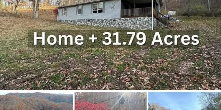 Affordable Mountain Retreat – 31.79 Acres with Three Homes for Under $100K