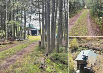 Nature Lover’s Retreat! Cabin on 40 Acres in Michigan